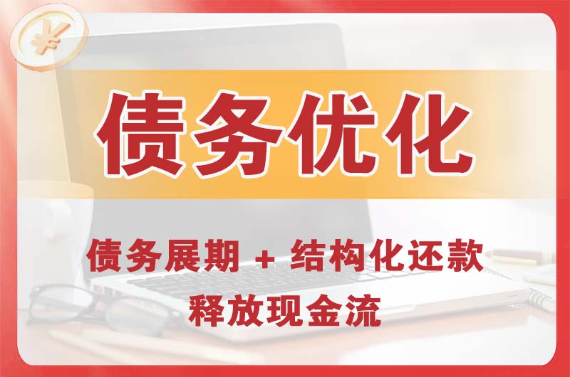 泊头债务优化